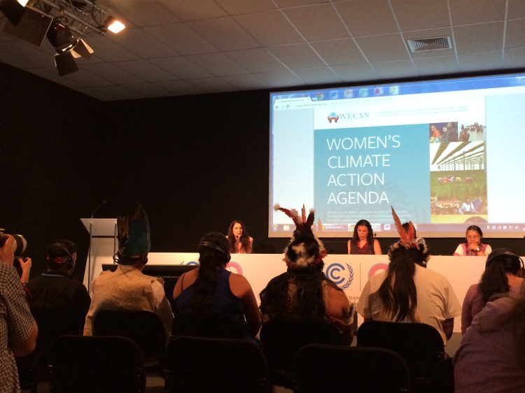 Side Event Panel discusses the impacts of energy extraction on communities in Georgia and the Amazon. 